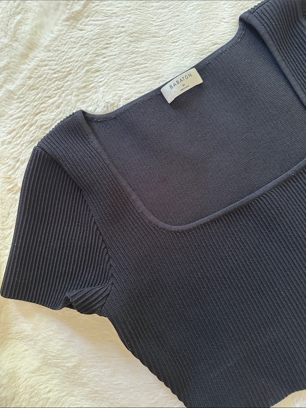 Aritzia Babaton Sculpt Knit Squareneck Cropped Tee